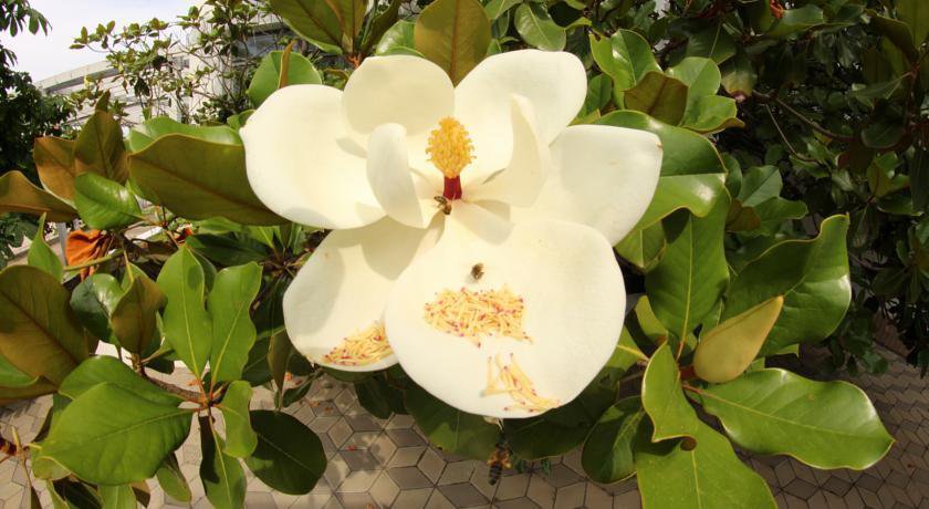 Гостиница База отдыха «Якорь» Коктебель-36